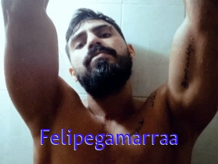 Felipegamarraa