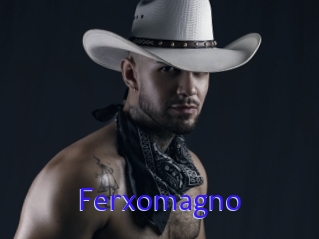 Ferxomagno