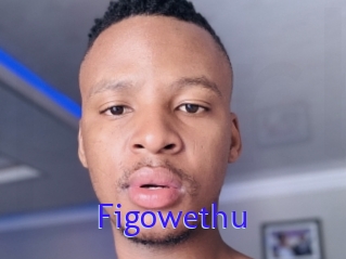 Figowethu