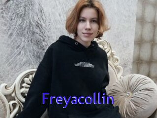 Freyacollin