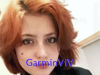 GarminViV