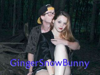 GingerSnowBunny