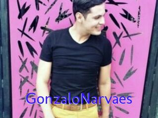 GonzaloNarvaes