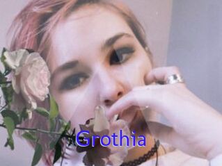 Grothia