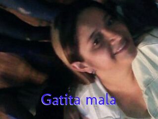 Gatita_mala