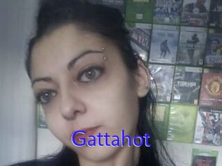 Gattahot