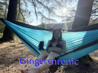 Gingerchronic