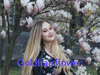 Goldhairflower