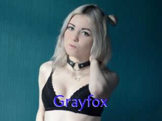 Grayfox