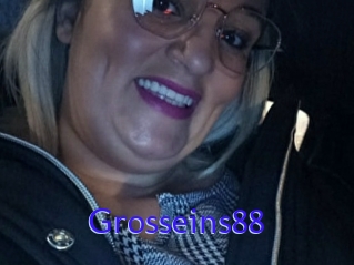 Grosseins88