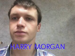 HARRY_MORGAN