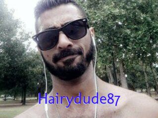 Hairydude87