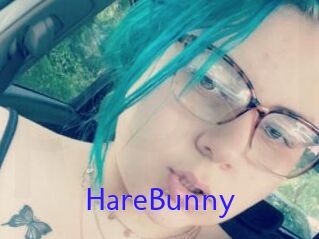 HareBunny