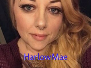 Harlow_Mae