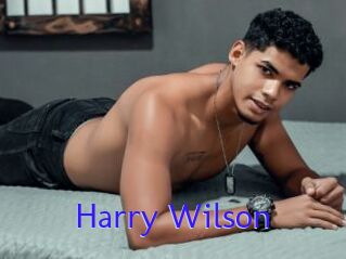 Harry_Wilson