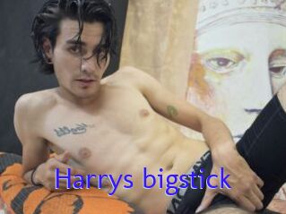 Harrys_bigstick