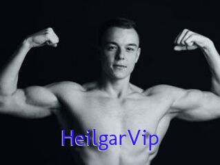 HeilgarVip