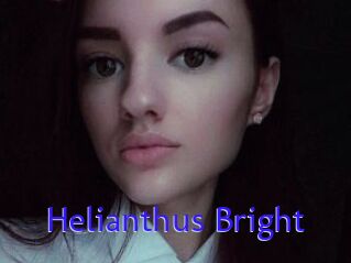 Helianthus_Bright