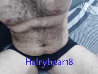 Hairybear18