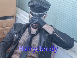 Hairycloudy