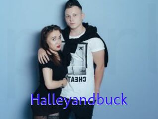 Halleyandbuck