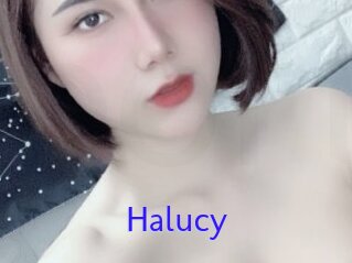 Halucy