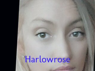 Harlowrose