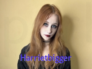 Harrietbigger