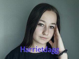 Harrietdagg