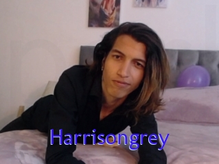 Harrisongrey