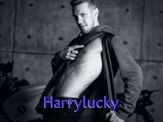 Harrylucky