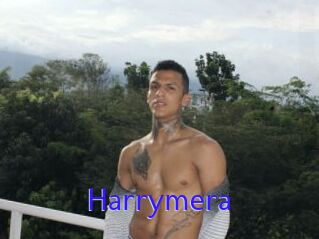 Harrymera