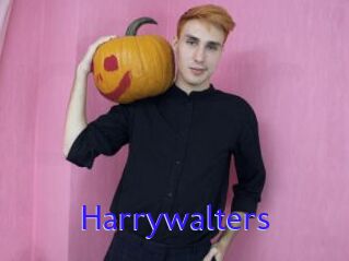 Harrywalters