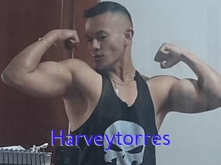 Harveytorres