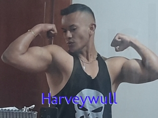 Harveywull