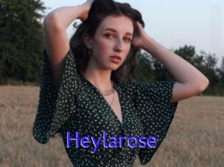 Heylarose