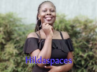 Hildaspaces