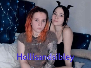 Hollisandsibley