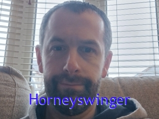 Horneyswinger