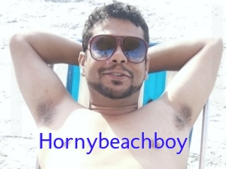 Hornybeachboy