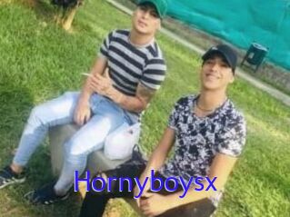 Hornyboysx