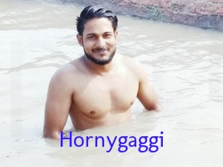 Hornygaggi