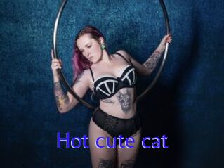 Hot_cute_cat