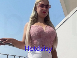 Hotdaisy