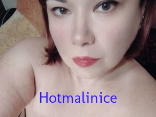 Hotmalinice