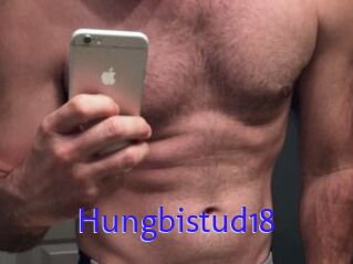 Hungbistud18