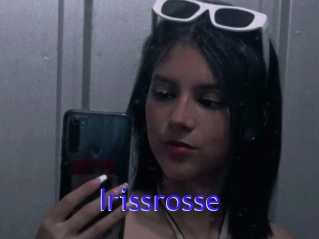 Irissrosse