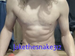 Jakethesnake312