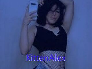 KittenAlex