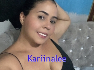 Kariinalee